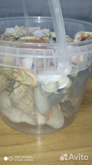Морские ракушки, камни, градусник, кормушка