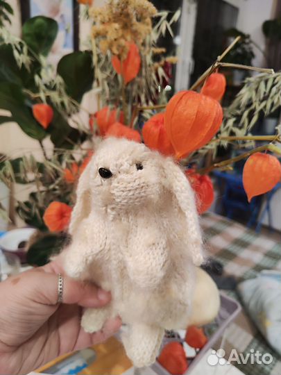 Кролик заяц