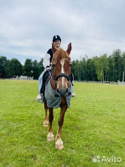 Конные прогулки