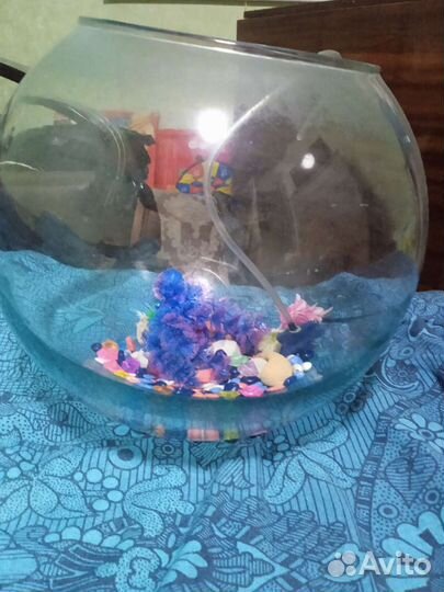 Аквариум