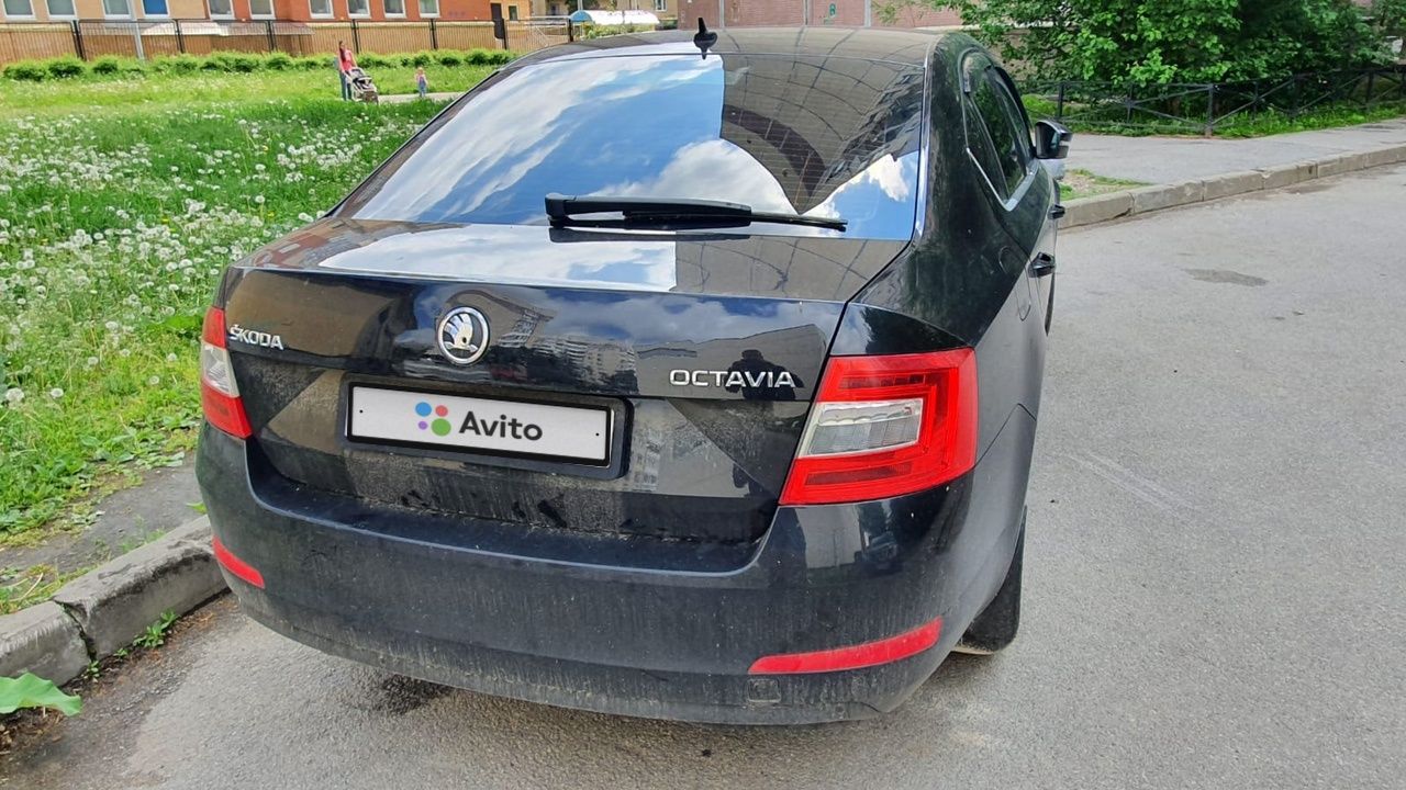 Skoda Octavia: фото владельца