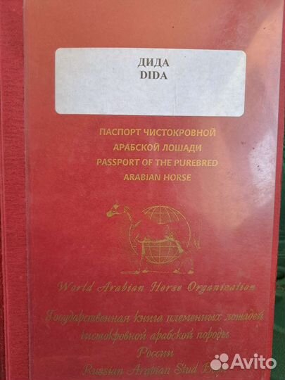 Продам арабскую кобылу