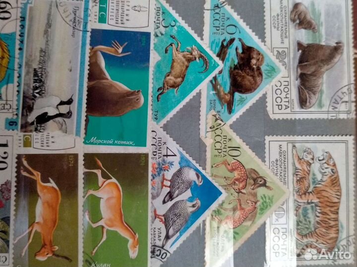 Почтовые марки СССР