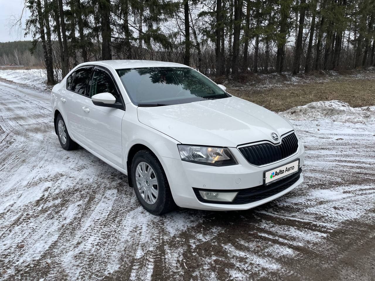 Skoda Octavia: фото владельца