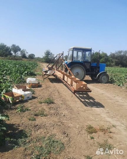 Сбор овощей