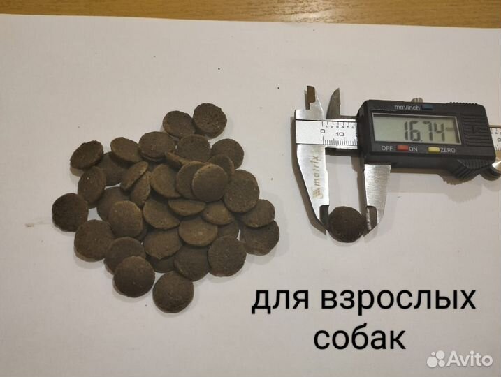 Оборудования для корма собак кошек рыбы