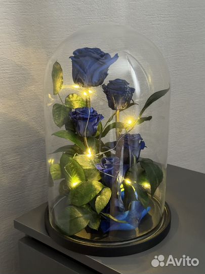 Вечная роза в колбе синяя 30 см с подсветкой