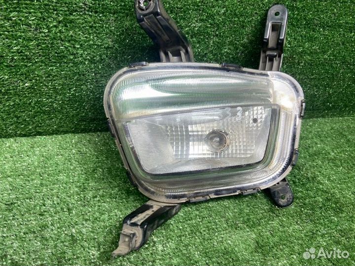 Фара противотуманная передняя левая Kia Rio 3