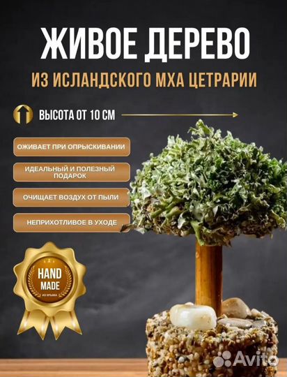 Дерево центрария