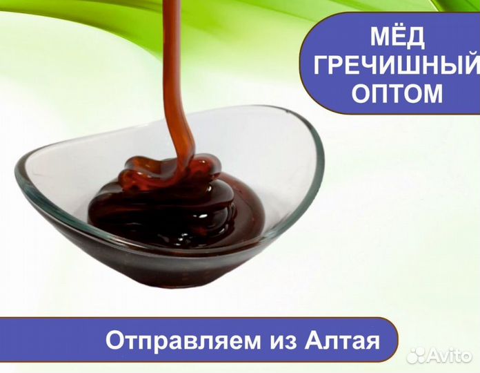 Алтайский мёд 2023 г (опт.)