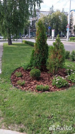 Газонокосильщик