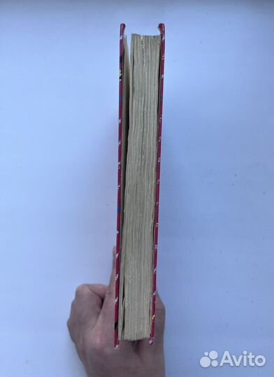 Томас Брецина: Ночь белых вамиров, Призрак в школе