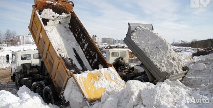 Аренда погрузчика и самосвала