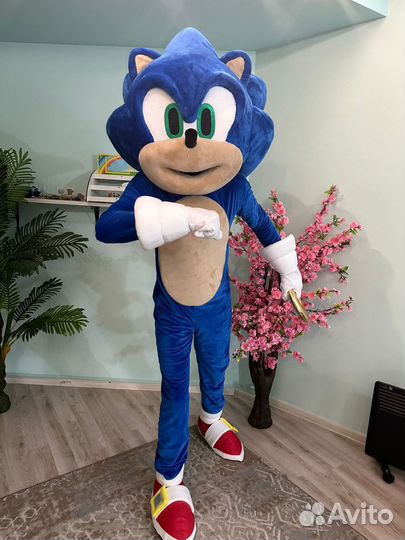 Аниматоры на день рождения