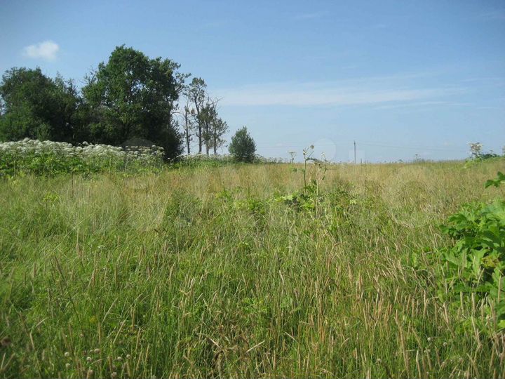 Участок 4,12 га (СНТ, ДНП)