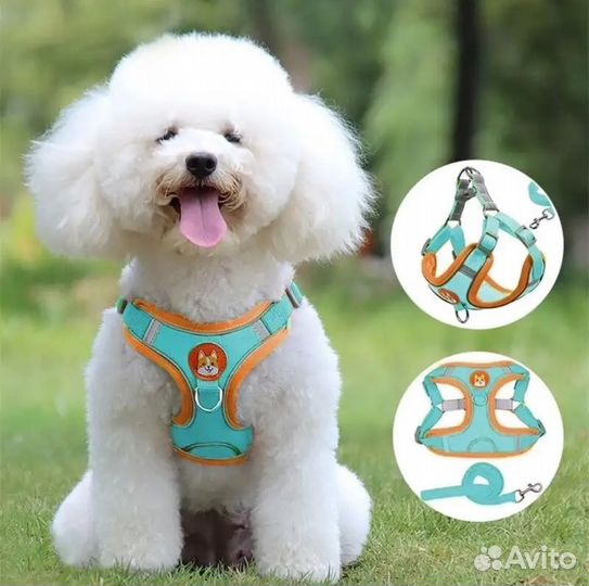 Шлейка для маленькой собаки