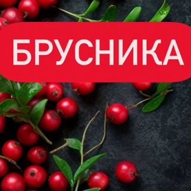 Брусника свежая