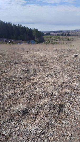 Участок 22 сот. (СНТ, ДНП)