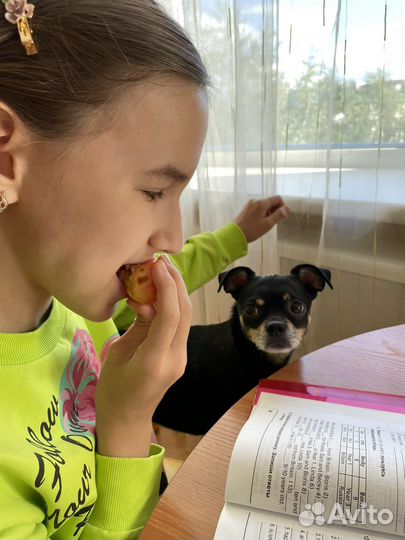 Ваш репетитор по английскому языку