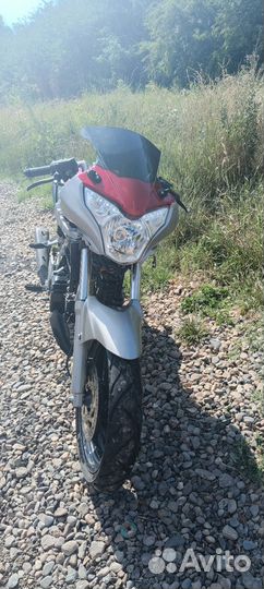 Рейсер скайвей 250