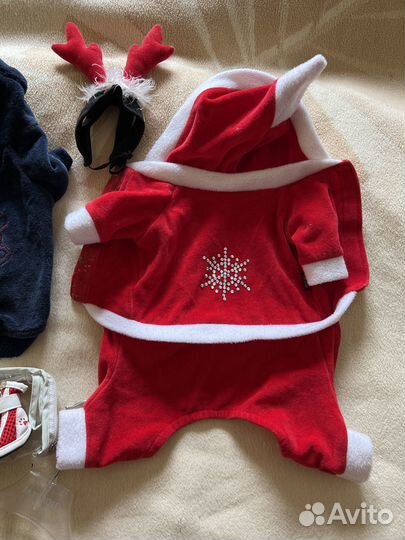 Одежда для мелких собачек