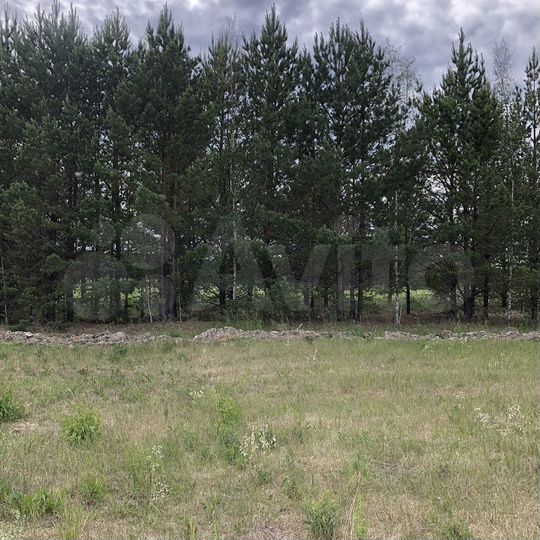 Участок 10 сот. (ИЖС)