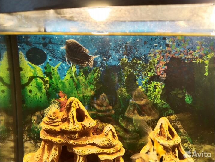 Грот для аквариума большой
