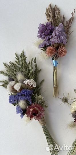 Сухоцветы