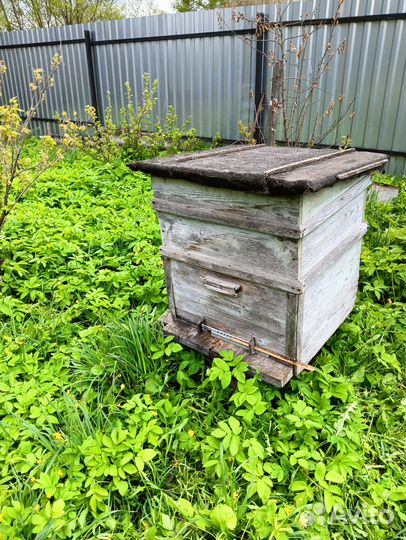 Улей с пчелами