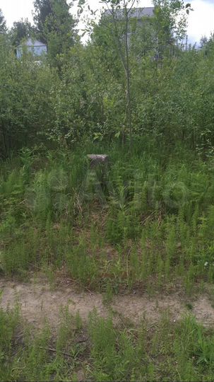 Участок 7,5 сот. (ИЖС)