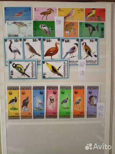 Почтовые марки мира. Птицы, фауна