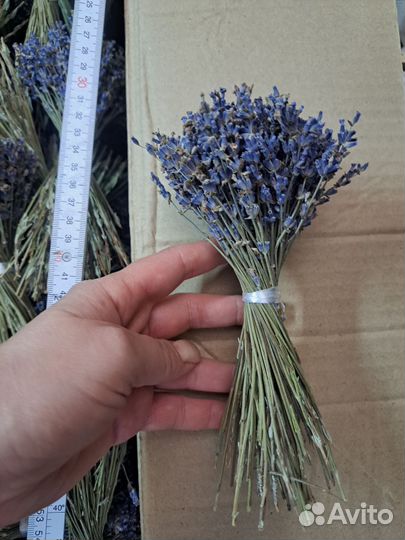 Букеты лаванды