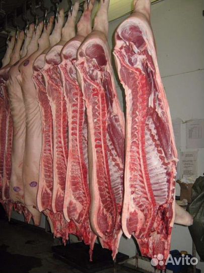 Мясо свинины частями