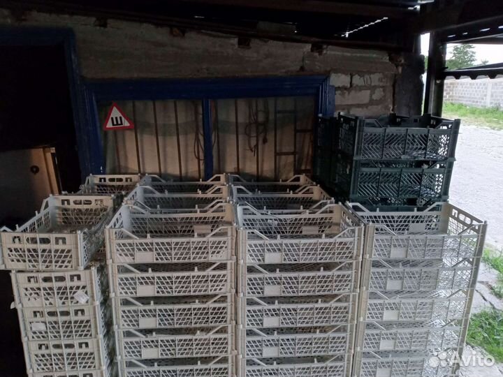 Ящик пластиковый