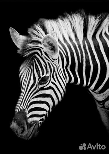 Алмазная мозайка, наборы 30х40, разные