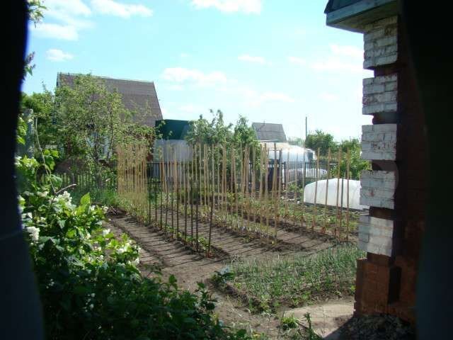 Дача 40 м² на участке 10 сот.