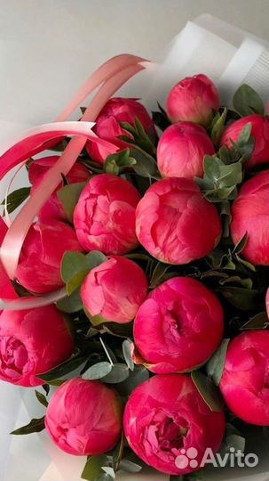 Пионы, букеты из пионов