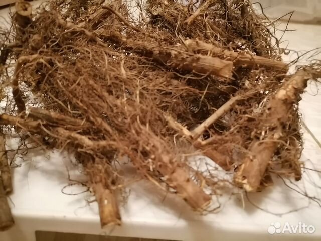 Подсолнух корни сушеные