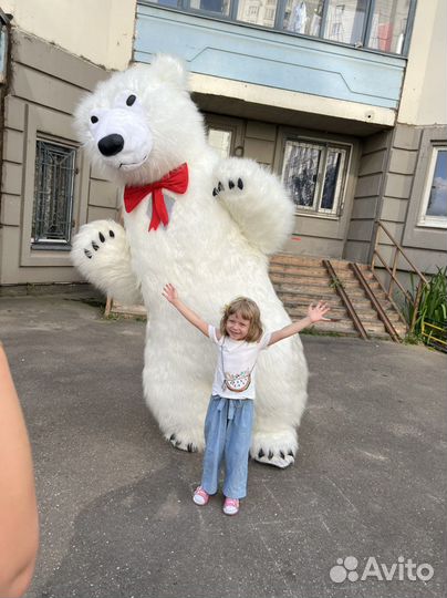 Белый медведь аниматор
