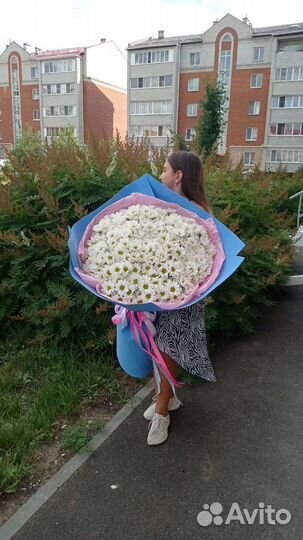 Букет ромашек цветы доставка