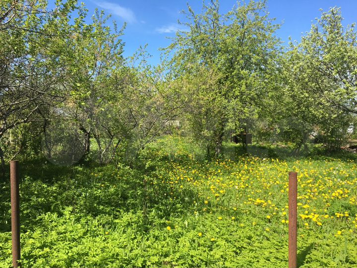 Участок 6 сот. (СНТ, ДНП)