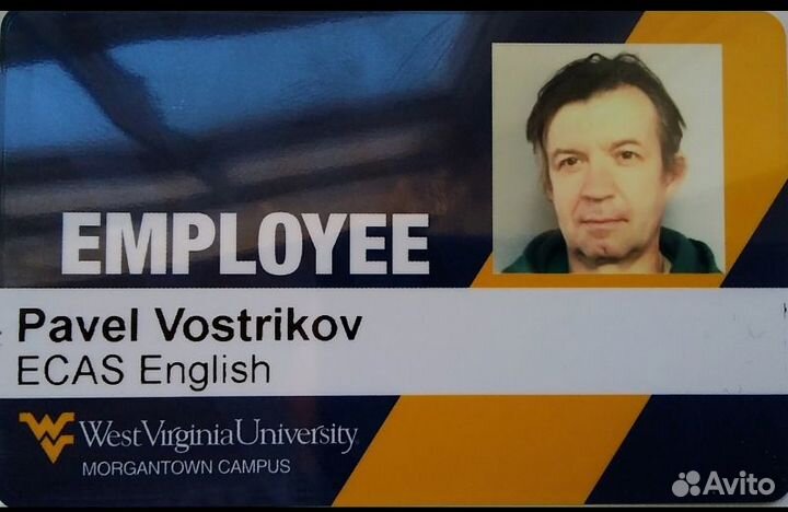 Преподавание английского, французского, рки;перево