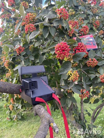 Polaroid Cool Cam 600 black/red винтаж