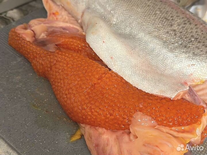 Форель розница