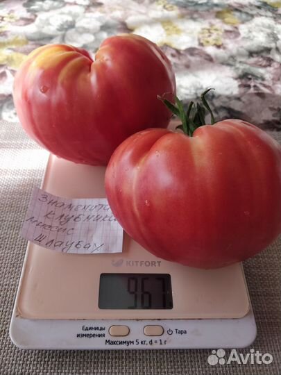 Семена сортовых томатов