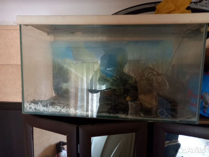 Аквариум 100 литров