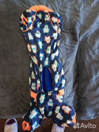 Костюм на таксу