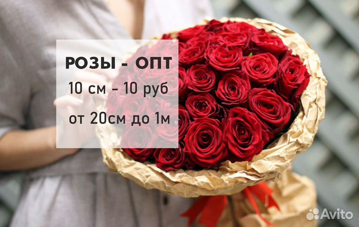 Оптовая продажа роз, 101 роза