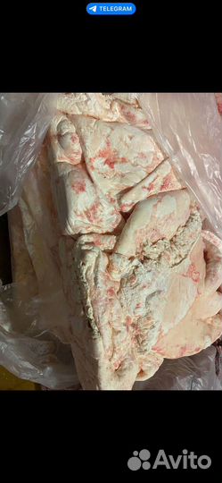 Жир говяжий