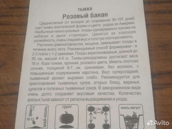 Семена тыквы: розовый банан и